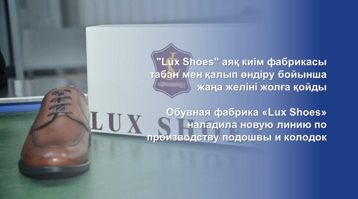 Обувь lux